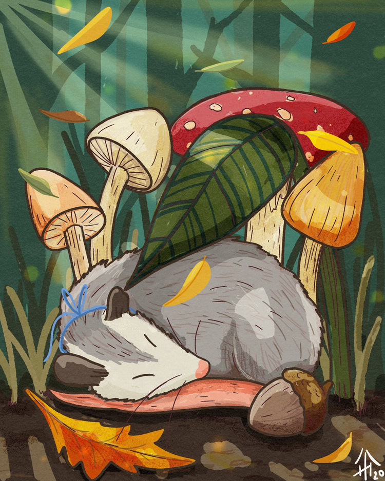 Asleep in the Forest- 8" by 10" Fall Opossum Art Print